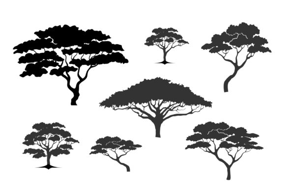 Acacia Tree Icon Silhouette Collection for Design