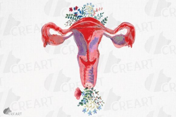 Elevating Medical Aesthetics: The Versatility of Watercolor Floral Uterus Health Graphics